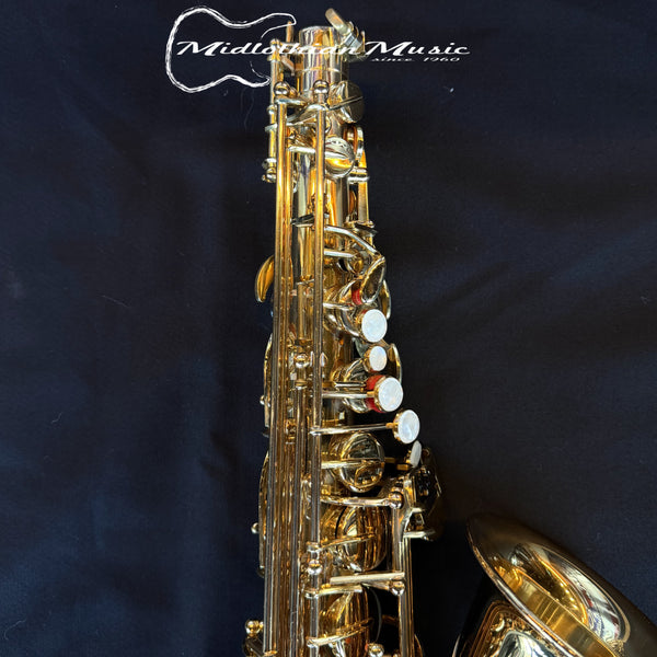 Accent AS710L Pre-Owned Alto Saxophone #SA9046907 Very Good!