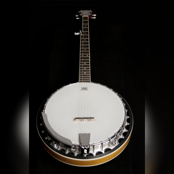 Washburn Americana B9 - 5-String Resonator Banjo - Closed Back - Sunburst Finish