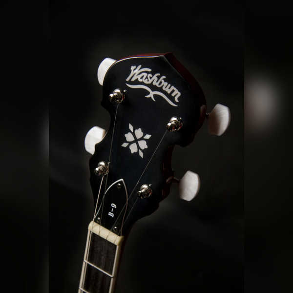Washburn Americana B9 - 5-String Resonator Banjo - Closed Back - Sunburst Finish